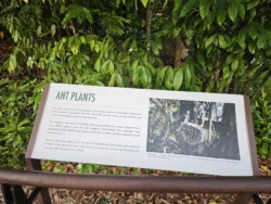 Singapore Botanic Gardens Svg+xml,%3Csvg%20xmlns%3D%22http%3A%2F%2Fwww.w3