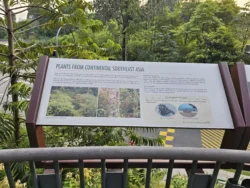Singapore Botanic Gardens Svg+xml,%3Csvg%20xmlns%3D%22http%3A%2F%2Fwww.w3