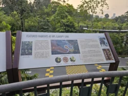 Singapore Botanic Gardens Svg+xml,%3Csvg%20xmlns%3D%22http%3A%2F%2Fwww.w3