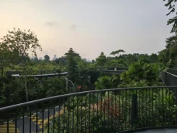 Singapore Botanic Gardens Svg+xml,%3Csvg%20xmlns%3D%22http%3A%2F%2Fwww.w3