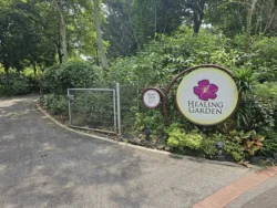 Singapore Botanic Gardens Svg+xml,%3Csvg%20xmlns%3D%22http%3A%2F%2Fwww.w3