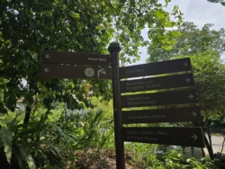 Singapore Botanic Gardens Svg+xml,%3Csvg%20xmlns%3D%22http%3A%2F%2Fwww.w3