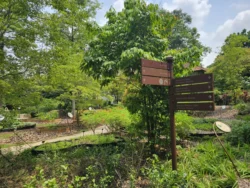 Singapore Botanic Gardens Svg+xml,%3Csvg%20xmlns%3D%22http%3A%2F%2Fwww.w3