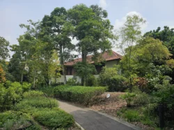 Singapore Botanic Gardens Svg+xml,%3Csvg%20xmlns%3D%22http%3A%2F%2Fwww.w3