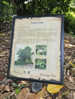 Singapore Botanic Gardens Svg+xml,%3Csvg%20xmlns%3D%22http%3A%2F%2Fwww.w3