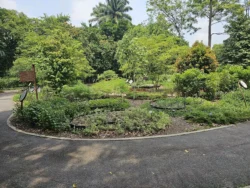 Singapore Botanic Gardens Svg+xml,%3Csvg%20xmlns%3D%22http%3A%2F%2Fwww.w3