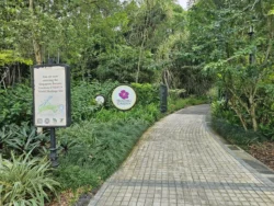Singapore Botanic Gardens Svg+xml,%3Csvg%20xmlns%3D%22http%3A%2F%2Fwww.w3