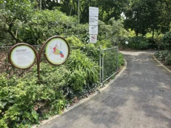 Singapore Botanic Gardens Svg+xml,%3Csvg%20xmlns%3D%22http%3A%2F%2Fwww.w3