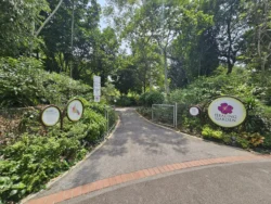 Singapore Botanic Gardens Svg+xml,%3Csvg%20xmlns%3D%22http%3A%2F%2Fwww.w3