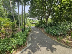 Singapore Botanic Gardens Svg+xml,%3Csvg%20xmlns%3D%22http%3A%2F%2Fwww.w3