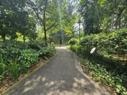 Singapore Botanic Gardens Svg+xml,%3Csvg%20xmlns%3D%22http%3A%2F%2Fwww.w3