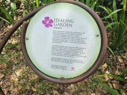 Singapore Botanic Gardens Svg+xml,%3Csvg%20xmlns%3D%22http%3A%2F%2Fwww.w3