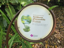 Singapore Botanic Gardens Svg+xml,%3Csvg%20xmlns%3D%22http%3A%2F%2Fwww.w3