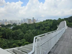 Henderson Waves Svg+xml,%3Csvg%20xmlns%3D%22http%3A%2F%2Fwww.w3