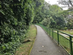 Henderson Waves Svg+xml,%3Csvg%20xmlns%3D%22http%3A%2F%2Fwww.w3