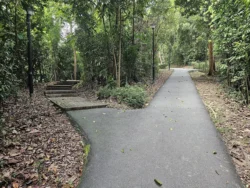 Henderson Waves Svg+xml,%3Csvg%20xmlns%3D%22http%3A%2F%2Fwww.w3