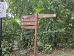 Henderson Waves Svg+xml,%3Csvg%20xmlns%3D%22http%3A%2F%2Fwww.w3