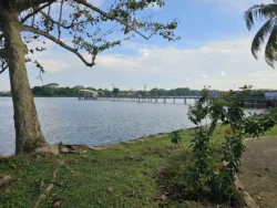 Lower Seletar Reservoir Park Svg+xml,%3Csvg%20xmlns%3D%22http%3A%2F%2Fwww.w3