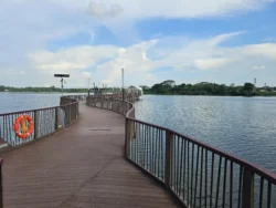 Lower Seletar Reservoir Park Svg+xml,%3Csvg%20xmlns%3D%22http%3A%2F%2Fwww.w3