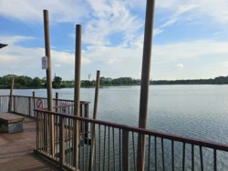 Lower Seletar Reservoir Park Svg+xml,%3Csvg%20xmlns%3D%22http%3A%2F%2Fwww.w3