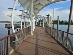 Lower Seletar Reservoir Park Svg+xml,%3Csvg%20xmlns%3D%22http%3A%2F%2Fwww.w3