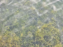 Lower Seletar Reservoir Park Svg+xml,%3Csvg%20xmlns%3D%22http%3A%2F%2Fwww.w3