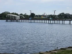 Lower Seletar Reservoir Park Svg+xml,%3Csvg%20xmlns%3D%22http%3A%2F%2Fwww.w3