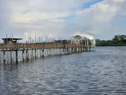 Lower Seletar Reservoir Park Svg+xml,%3Csvg%20xmlns%3D%22http%3A%2F%2Fwww.w3