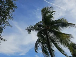 Lower Seletar Reservoir Park Svg+xml,%3Csvg%20xmlns%3D%22http%3A%2F%2Fwww.w3