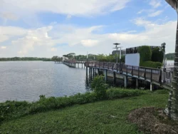 Lower Seletar Reservoir Park Svg+xml,%3Csvg%20xmlns%3D%22http%3A%2F%2Fwww.w3