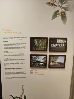 Singapore Botanic Gardens Svg+xml,%3Csvg%20xmlns%3D%22http%3A%2F%2Fwww.w3