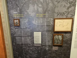 Singapore Botanic Gardens Svg+xml,%3Csvg%20xmlns%3D%22http%3A%2F%2Fwww.w3