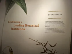 Singapore Botanic Gardens Svg+xml,%3Csvg%20xmlns%3D%22http%3A%2F%2Fwww.w3