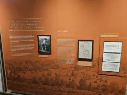 Singapore Botanic Gardens Svg+xml,%3Csvg%20xmlns%3D%22http%3A%2F%2Fwww.w3