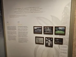 Singapore Botanic Gardens Svg+xml,%3Csvg%20xmlns%3D%22http%3A%2F%2Fwww.w3