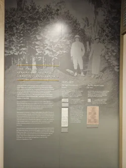 Singapore Botanic Gardens Svg+xml,%3Csvg%20xmlns%3D%22http%3A%2F%2Fwww.w3