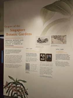 Singapore Botanic Gardens Svg+xml,%3Csvg%20xmlns%3D%22http%3A%2F%2Fwww.w3