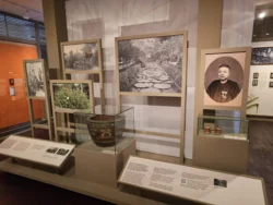 Singapore Botanic Gardens Svg+xml,%3Csvg%20xmlns%3D%22http%3A%2F%2Fwww.w3