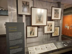 Singapore Botanic Gardens Svg+xml,%3Csvg%20xmlns%3D%22http%3A%2F%2Fwww.w3