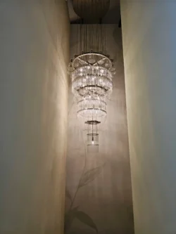 Singapore Botanic Gardens Svg+xml,%3Csvg%20xmlns%3D%22http%3A%2F%2Fwww.w3