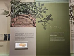 Singapore Botanic Gardens Svg+xml,%3Csvg%20xmlns%3D%22http%3A%2F%2Fwww.w3