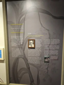 Singapore Botanic Gardens Svg+xml,%3Csvg%20xmlns%3D%22http%3A%2F%2Fwww.w3