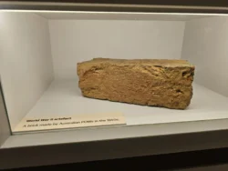 Singapore Botanic Gardens Svg+xml,%3Csvg%20xmlns%3D%22http%3A%2F%2Fwww.w3