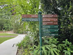 Singapore Botanic Gardens Svg+xml,%3Csvg%20xmlns%3D%22http%3A%2F%2Fwww.w3