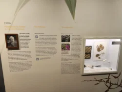 Singapore Botanic Gardens Svg+xml,%3Csvg%20xmlns%3D%22http%3A%2F%2Fwww.w3