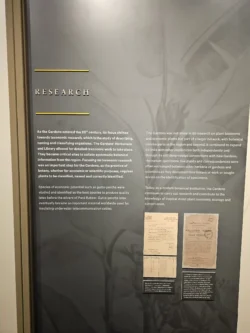 Singapore Botanic Gardens Svg+xml,%3Csvg%20xmlns%3D%22http%3A%2F%2Fwww.w3