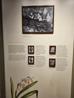 Singapore Botanic Gardens Svg+xml,%3Csvg%20xmlns%3D%22http%3A%2F%2Fwww.w3