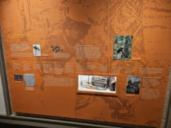 Singapore Botanic Gardens Svg+xml,%3Csvg%20xmlns%3D%22http%3A%2F%2Fwww.w3