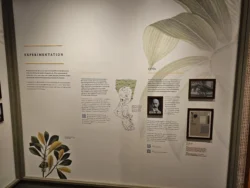 Singapore Botanic Gardens Svg+xml,%3Csvg%20xmlns%3D%22http%3A%2F%2Fwww.w3