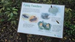 Lower Peirce Reservoir Svg+xml,%3Csvg%20xmlns%3D%22http%3A%2F%2Fwww.w3